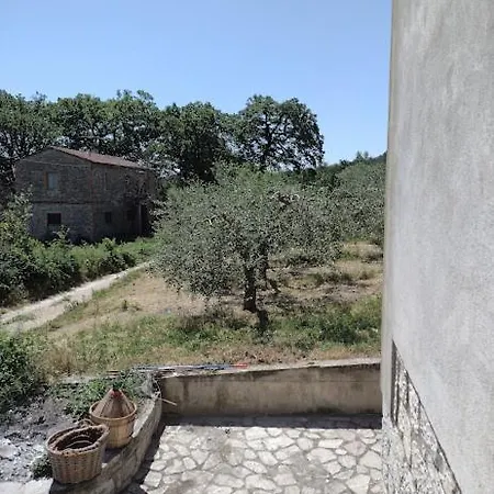 Torregentile Emilia Holiday home Vasciano Nuovo