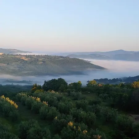Torregentile Emilia Casa vacanze