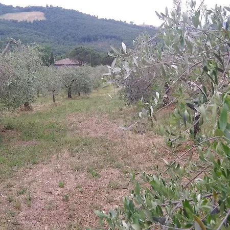 Holiday home Torregentile Emilia *